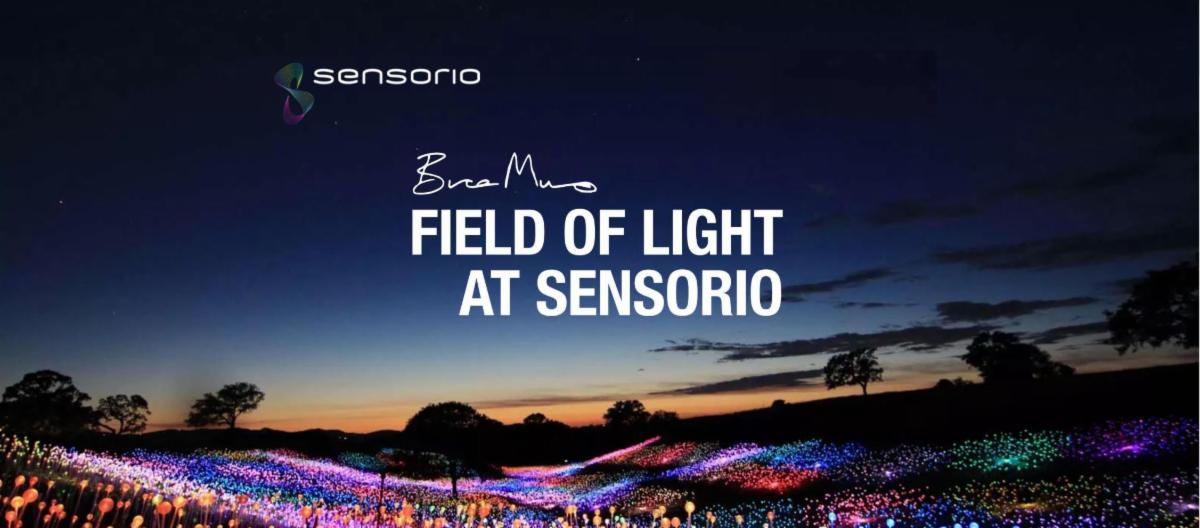 Field of Light at Sensorio